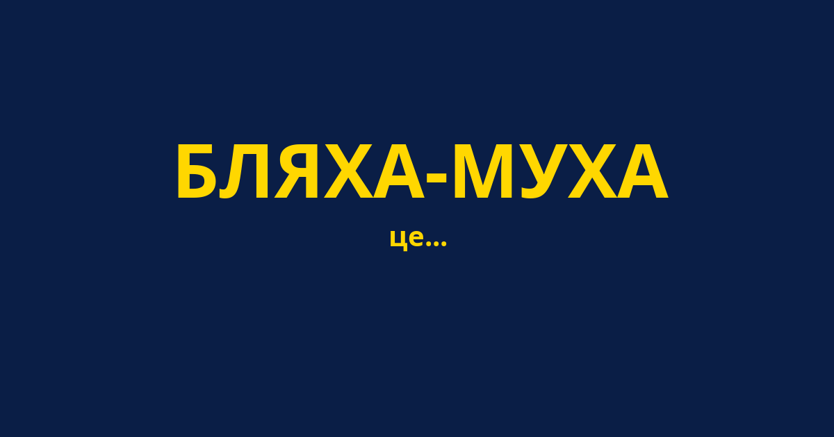 БЛЯХА-МУХА