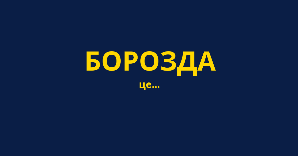 БОРОЗДА
