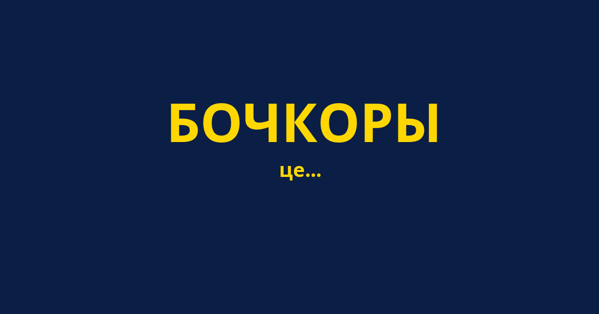 БОЧКОРЫ