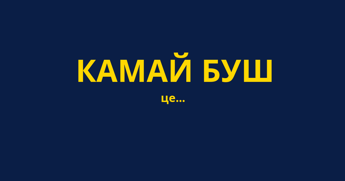 КАМАЙ БУШ